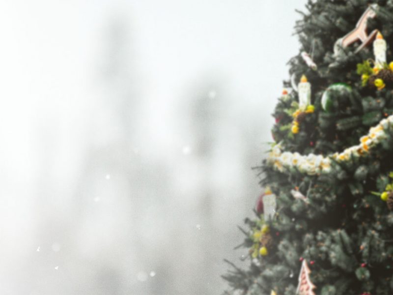 Weihnachtsgrüße von SchmidtWeissGrün'