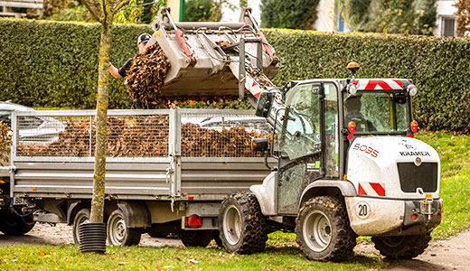 Laubtransport durch SchmidtWeissGrün Laubtransport durch SchmidtWeissGrün