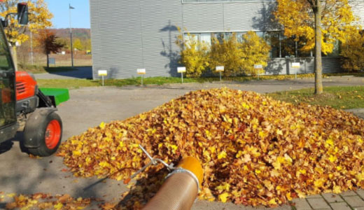 Laubsammlung auf einem Parkplatz Laubsammlung auf einem Parkplatz