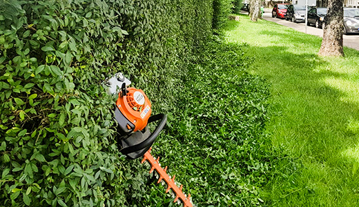 Heckenschneider lehnt an Hecke Heckenschneider lehnt an Hecke