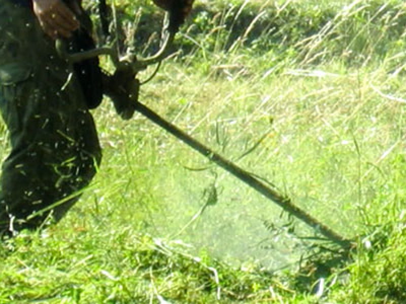Mitarbeiter mit der Elektrosense'